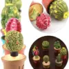 7 Tiny Cactus Mini Plants Set for DIY Activities & Display Collection - Small