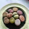 Lithops Large Random Mix Succulent Plants, 10 Pcs Live Bare Root, Indoor Office Desk Decor, Unique Plant Lover Gifts