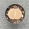 Lithops aucampiae L. Bolus Living Stone Plant 3 Years Old Potted Succulent 1-1.5in