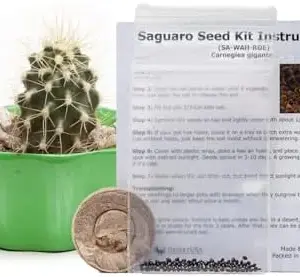 Saguaro Cactus Growing Kit Seeds Starter Pellets Pods Southwestern Gift Idea