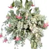 Trailing Cotyledon Pendens Live Plants Succulent 2 Inch Pot Set of 2 Indoor Outdoor Rare Hardy Cliff Cotyledon