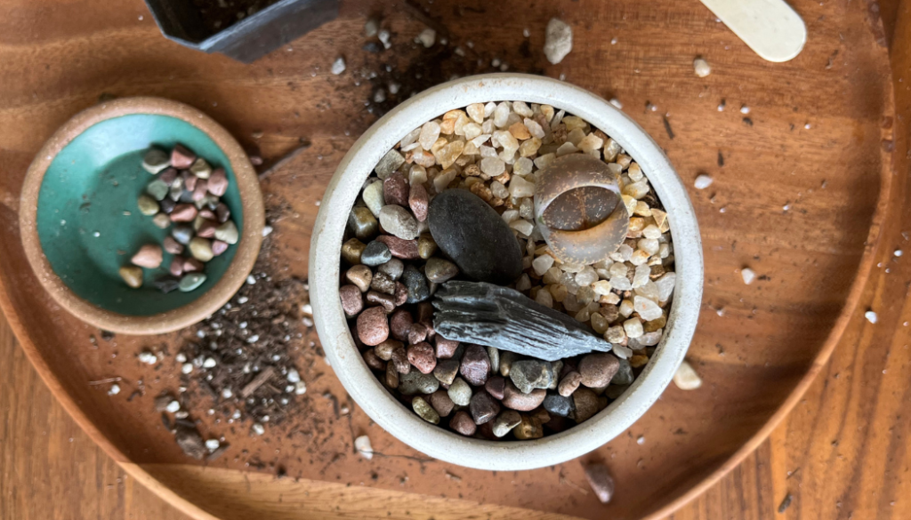 soil mix for lithops